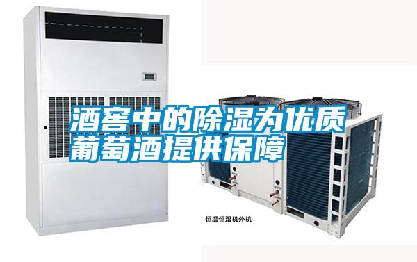 酒窖中的除濕為優質葡萄酒提供保障