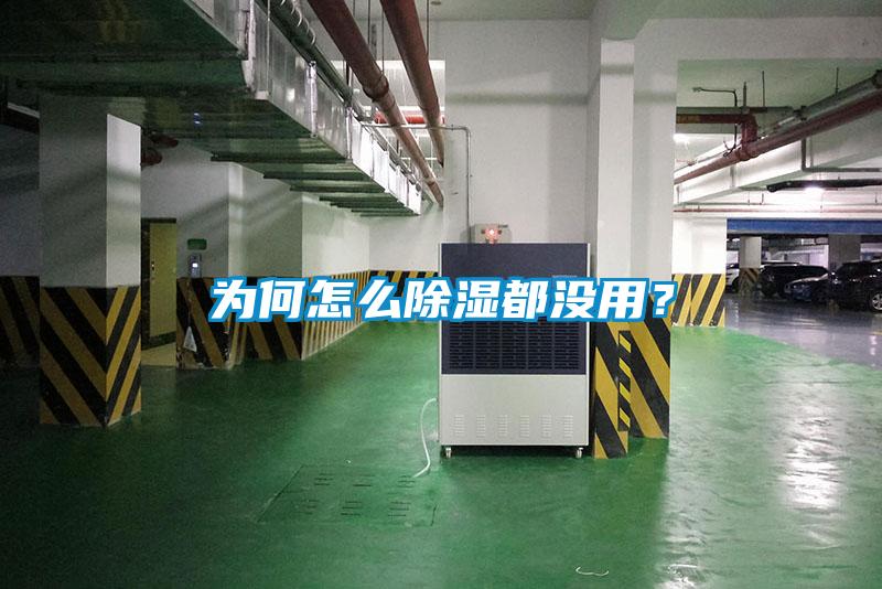 為何怎么除濕都沒(méi)用？