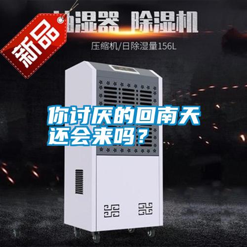 你討厭的回南天還會來嗎？