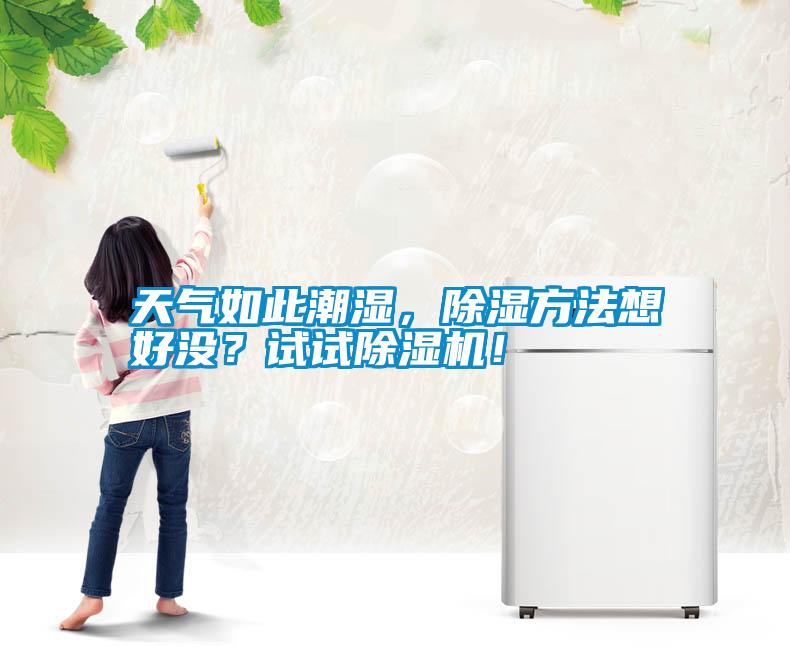 天氣如此潮濕，除濕方法想好沒？試試除濕機！
