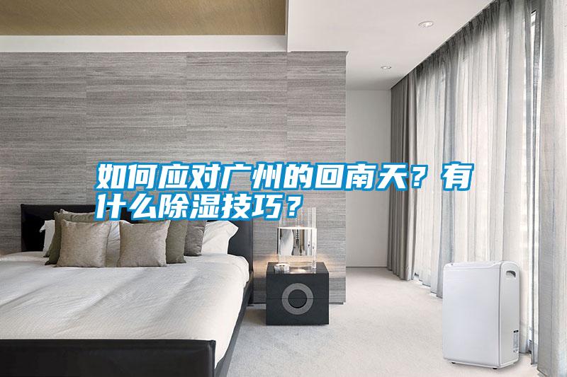 如何應(yīng)對(duì)廣州的回南天？有什么除濕技巧？