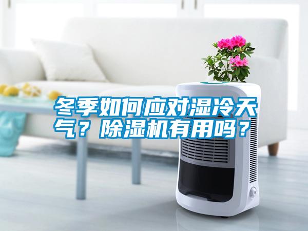 冬季如何應(yīng)對濕冷天氣？除濕機(jī)有用嗎？