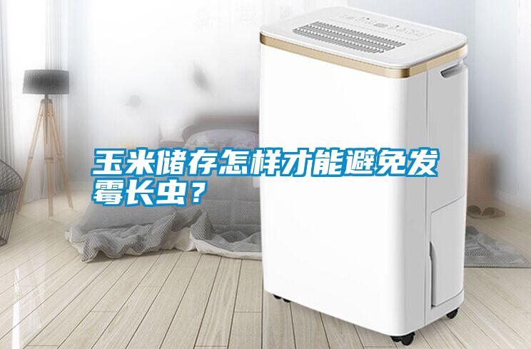玉米儲存怎樣才能避免發霉長蟲？