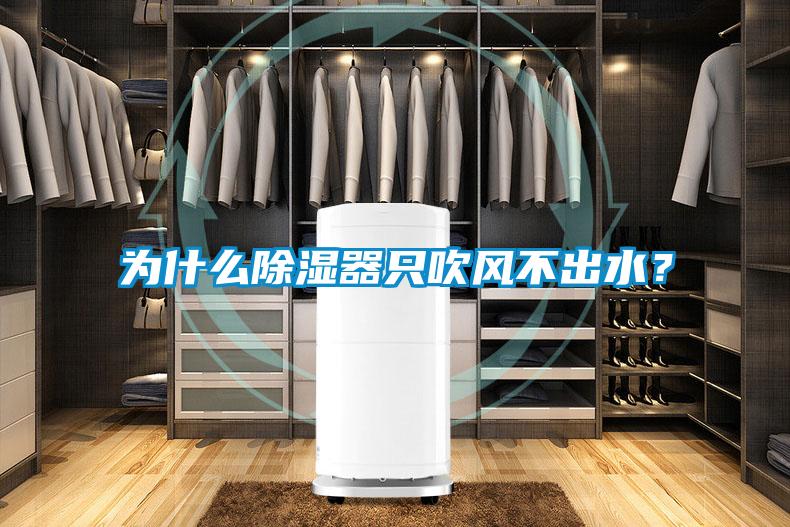 為什么除濕器只吹風(fēng)不出水？