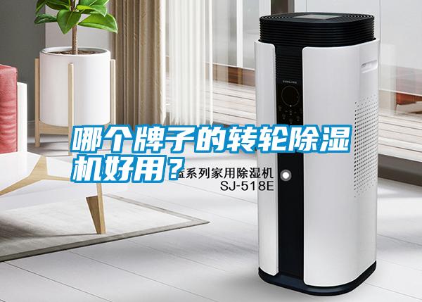 哪個牌子的轉輪除濕機好用？