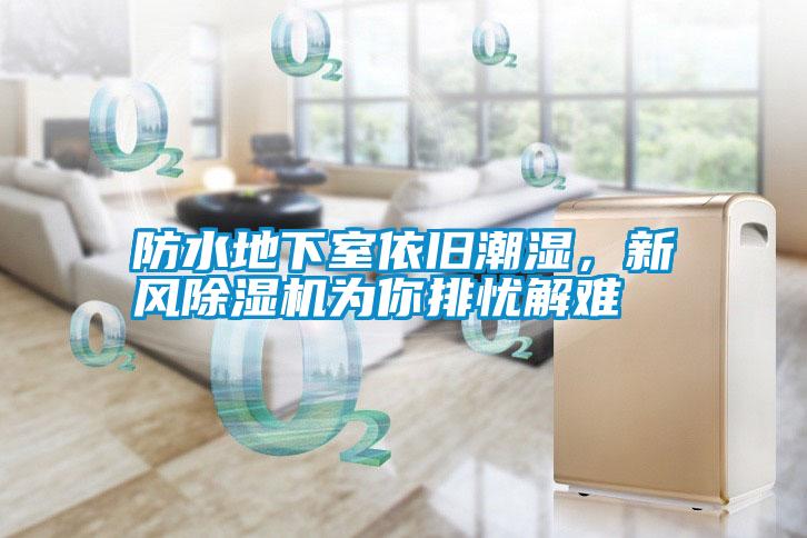 防水地下室依舊潮濕，新風除濕機為你排憂解難