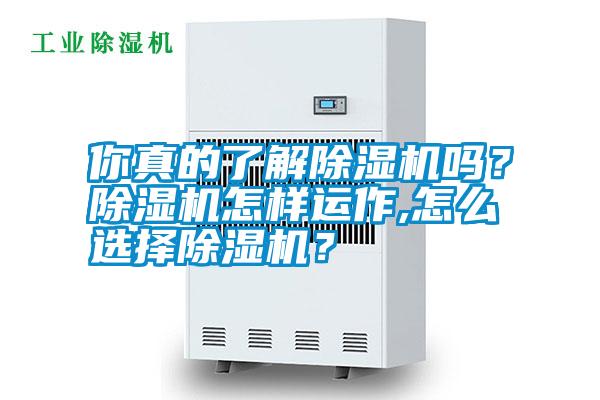 你真的了解除濕機(jī)嗎？除濕機(jī)怎樣運(yùn)作,怎么選擇除濕機(jī)？