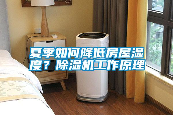 夏季如何降低房屋濕度？除濕機工作原理