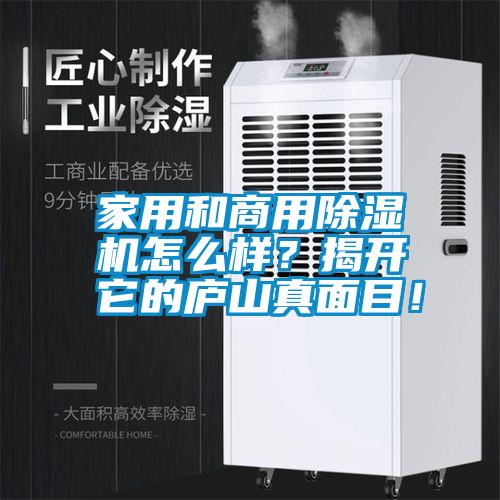 家用和商用除濕機怎么樣？揭開它的廬山真面目！