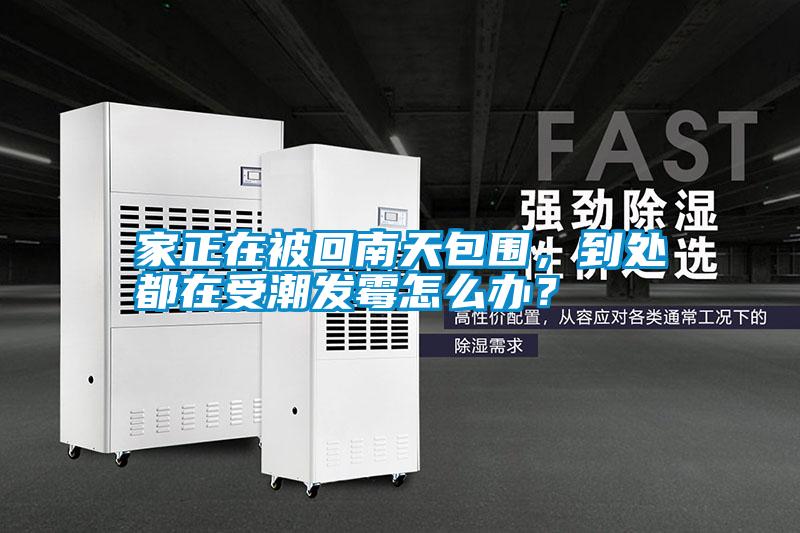 家正在被回南天包圍，到處都在受潮發(fā)霉怎么辦？