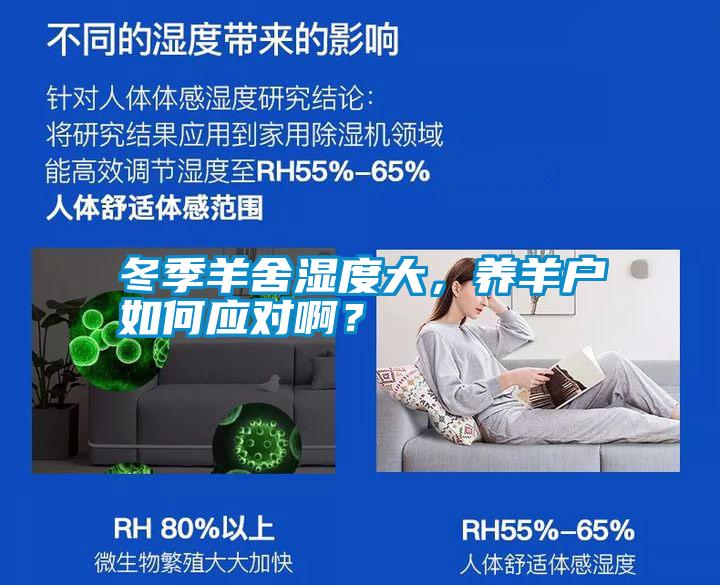 冬季羊舍濕度大，養(yǎng)羊戶如何應(yīng)對啊？