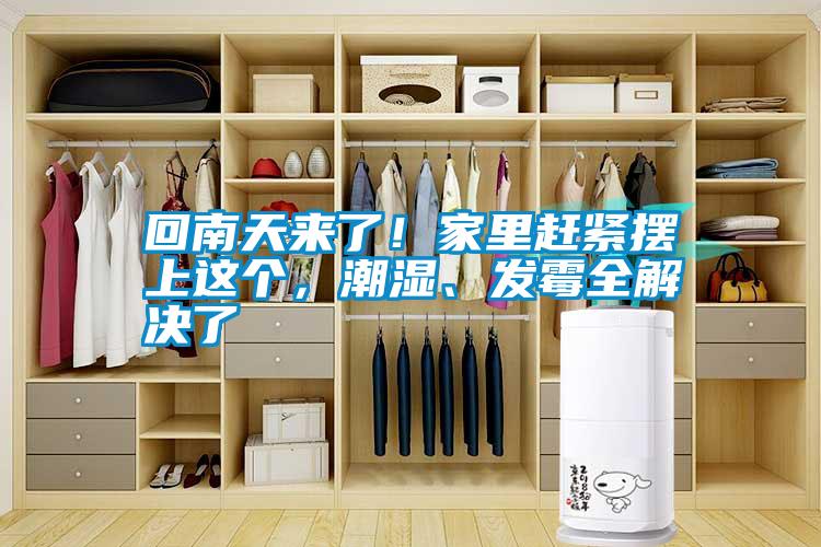 回南天來了！家里趕緊擺上這個，潮濕、發(fā)霉全解決了