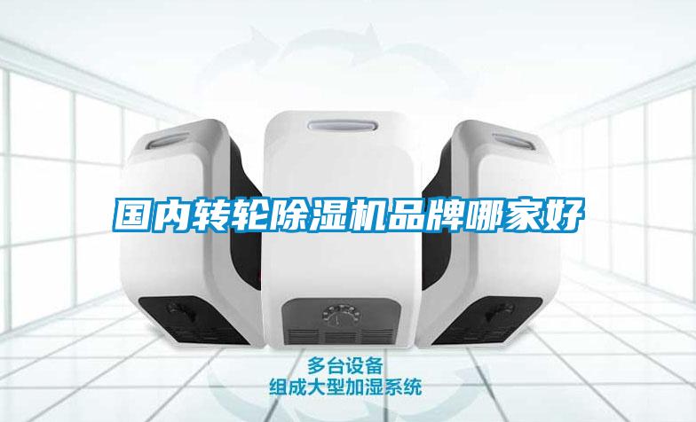 國內轉輪除濕機品牌哪家好