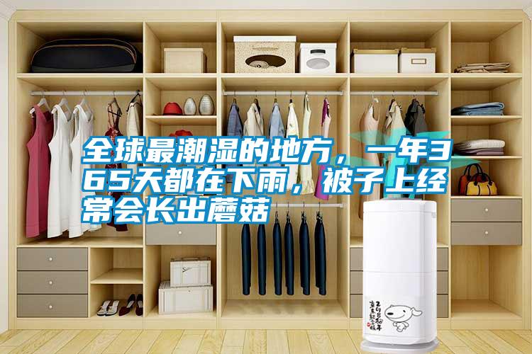 全球最潮濕的地方，一年365天都在下雨，被子上經(jīng)常會長出蘑菇