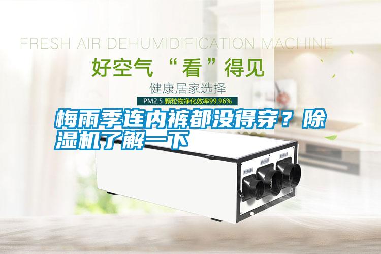 梅雨季連內(nèi)褲都沒得穿？除濕機(jī)了解一下