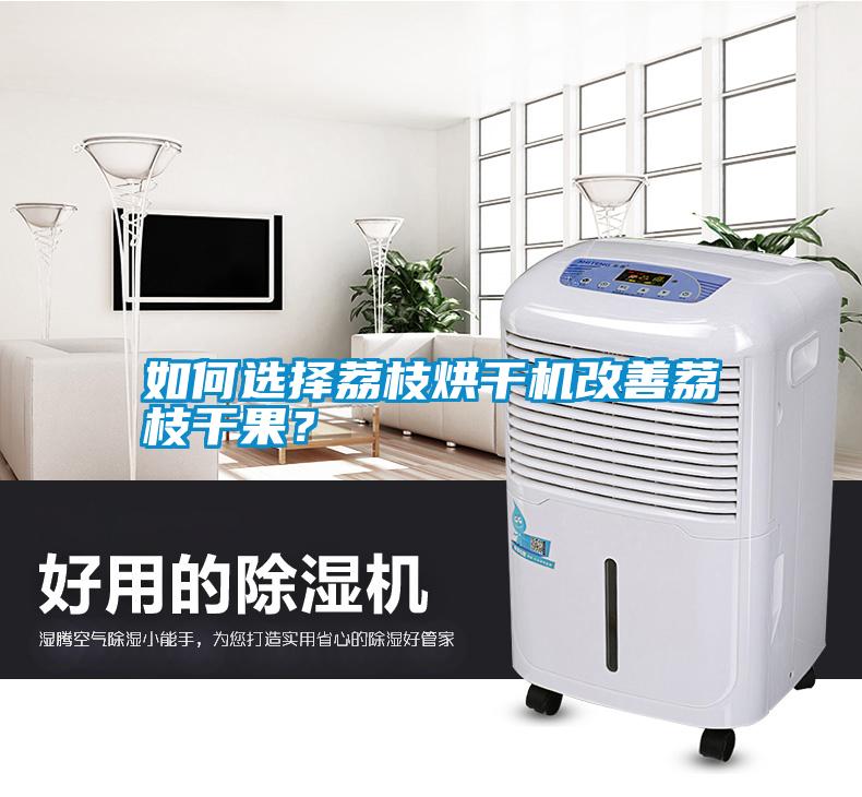 如何選擇荔枝烘干機改善荔枝干果？