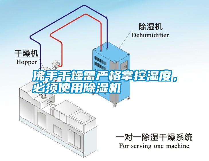 佛手干燥需嚴格掌控濕度，必須使用除濕機