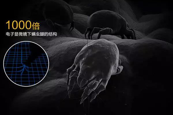 螨蟲高發季，家用除濕機除螨有妙計！