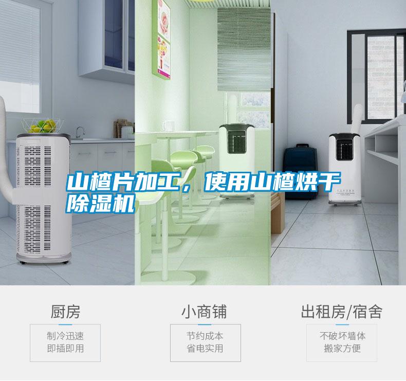 山楂片加工，使用山楂烘干除濕機