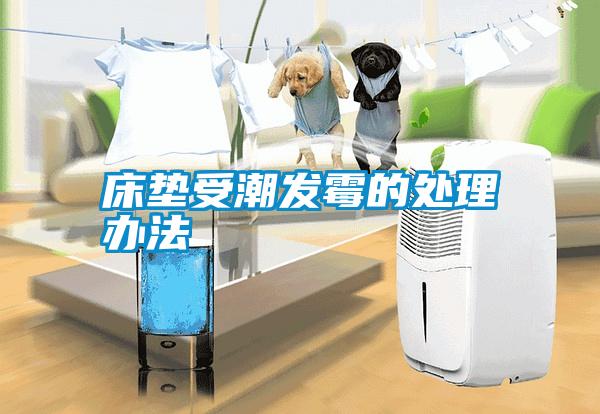 床墊受潮發霉的處理辦法