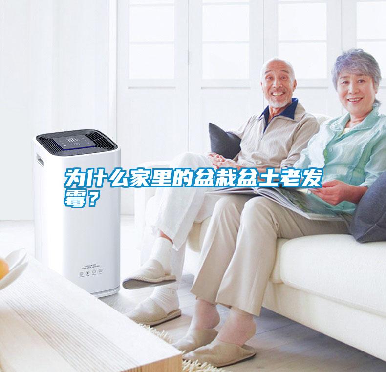 為什么家里的盆栽盆土老發(fā)霉？