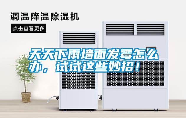 天天下雨墻面發(fā)霉怎么辦，試試這些妙招！