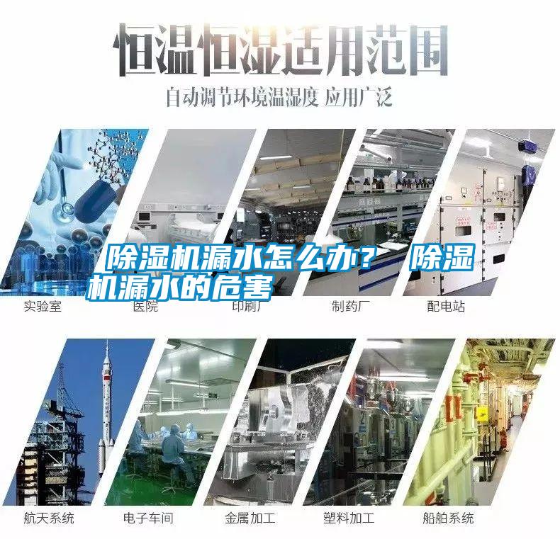  除濕機(jī)漏水怎么辦？ 除濕機(jī)漏水的危害