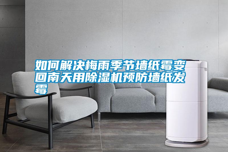 如何解決梅雨季節(jié)墻紙霉變 回南天用除濕機預防墻紙發(fā)霉