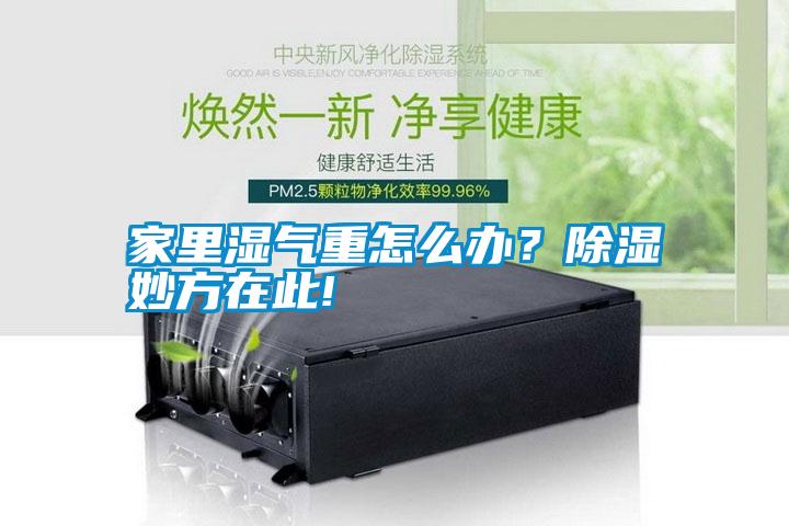 家里濕氣重怎么辦？除濕妙方在此!