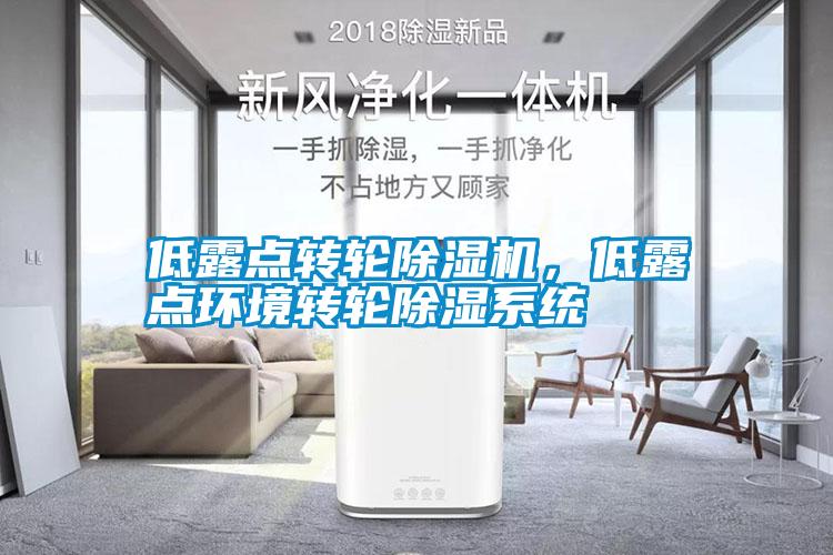 低露點轉輪除濕機，低露點環(huán)境轉輪除濕系統(tǒng)