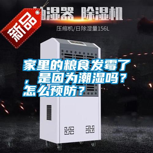 家里的糧食發霉了，是因為潮濕嗎？怎么預防？