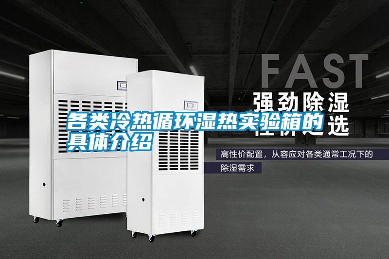 各類冷熱循環濕熱實驗箱的具體介紹