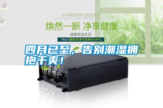 四月已至，告別潮濕擁抱干爽！