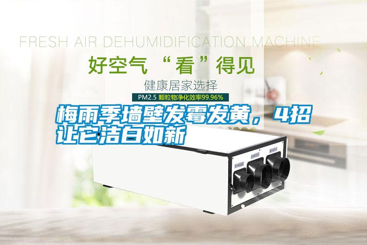 梅雨季墻壁發(fā)霉發(fā)黃，4招讓它潔白如新