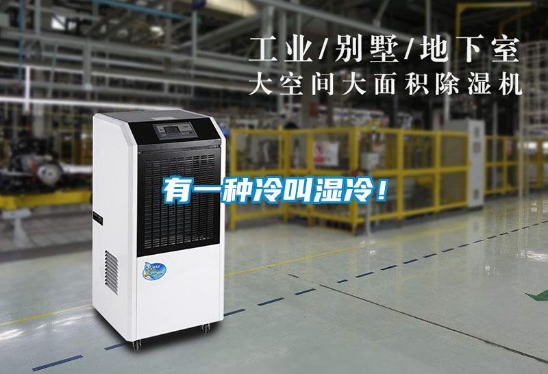 有一種冷叫濕冷！