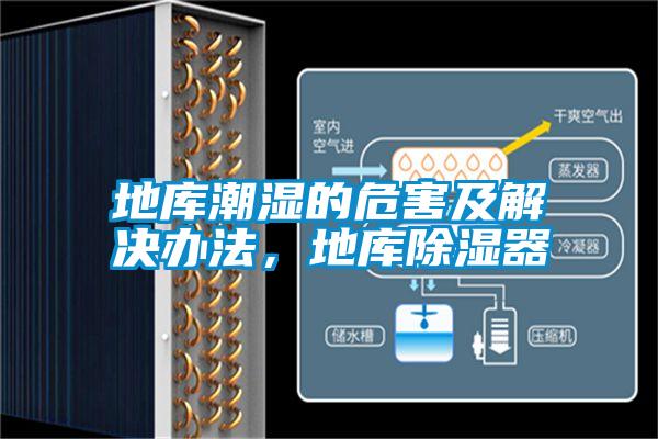 地庫潮濕的危害及解決辦法，地庫除濕器