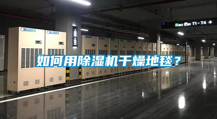 如何用除濕機干燥地毯？