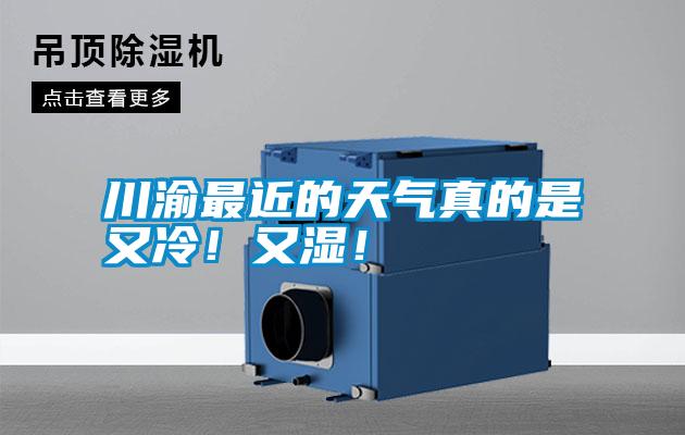 川渝最近的天氣真的是又冷！又濕！