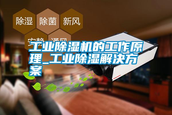 工業除濕機的工作原理_工業除濕解決方案