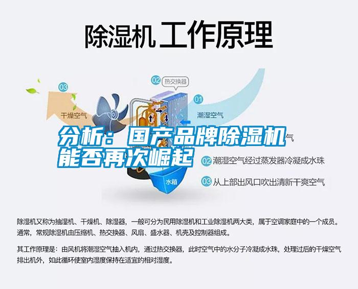 分析：國產(chǎn)品牌除濕機(jī) 能否再次崛起