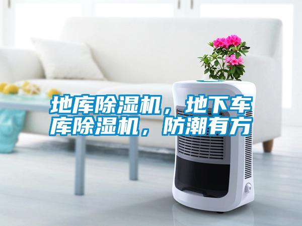 地庫除濕機，地下車庫除濕機，防潮有方