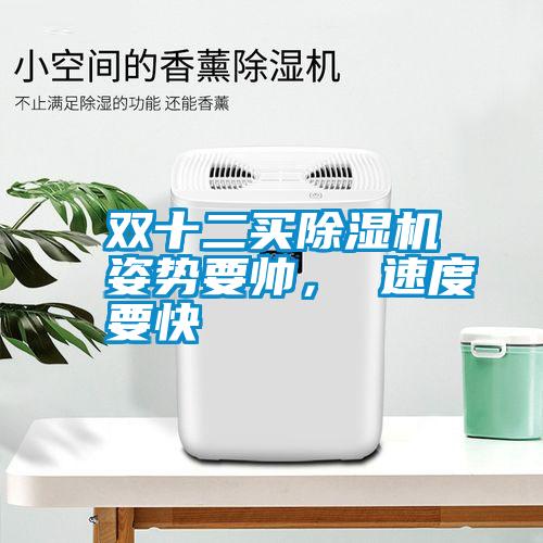 雙十二買除濕機姿勢要帥， 速度要快