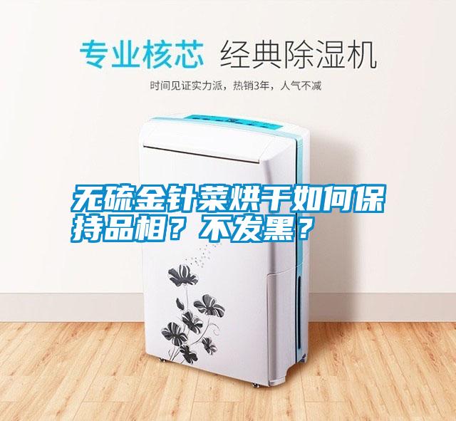 無(wú)硫金針菜烘干如何保持品相？不發(fā)黑？