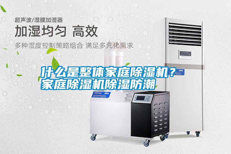 什么是整體家庭除濕機(jī)？ 家庭除濕機(jī)除濕防潮