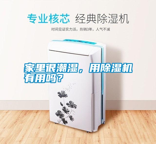 家里很潮濕，用除濕機有用嗎？