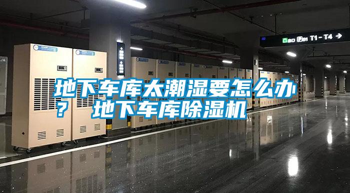 地下車庫太潮濕要怎么辦？ 地下車庫除濕機(jī)