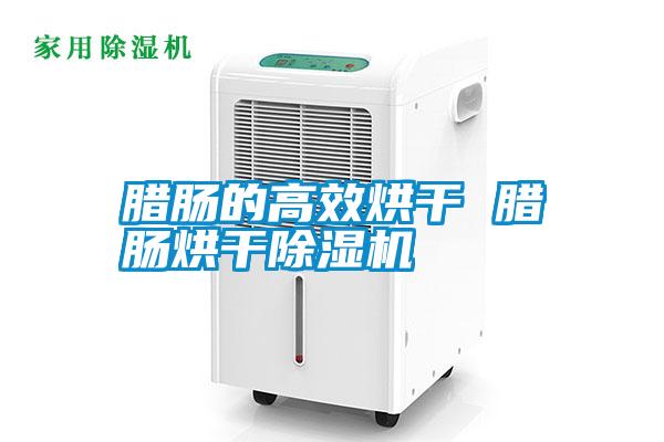 臘腸的高效烘干 臘腸烘干除濕機