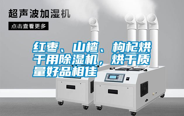 紅棗、山楂、枸杞烘干用除濕機(jī)，烘干質(zhì)量好品相佳