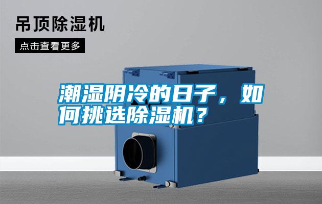 潮濕陰冷的日子，如何挑選除濕機(jī)？