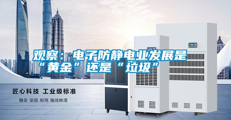 觀察：電子防靜電業發展是“黃金”還是“垃圾”